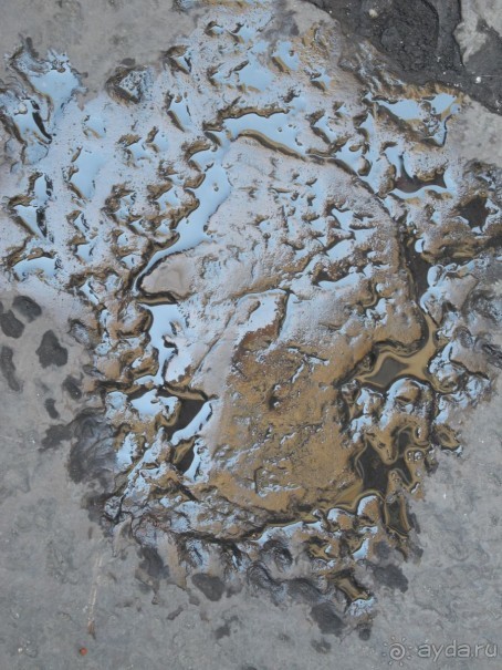 Флоренция. Профиль Данте на плите под ногами 