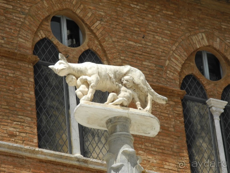 Сиена. Вочица