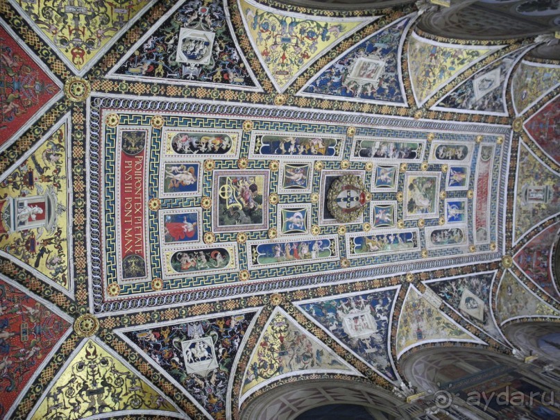 Сиена. Центральный собор Девы Марии.  Потолок в зале с книгами