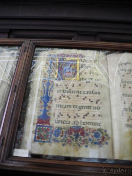 Сиена. Центральный собор Девы Марии. Книга