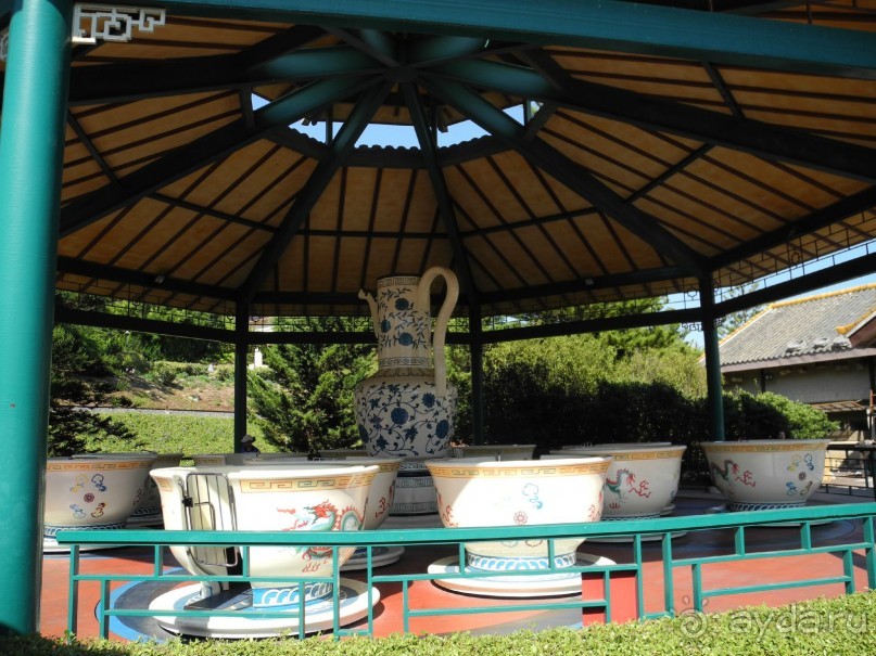 Про аттракционы и шоу.