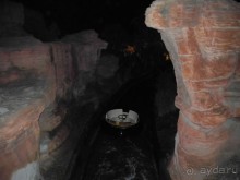 Про аттракционы и шоу.