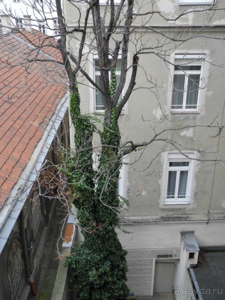 Admiral 3* (Вена)