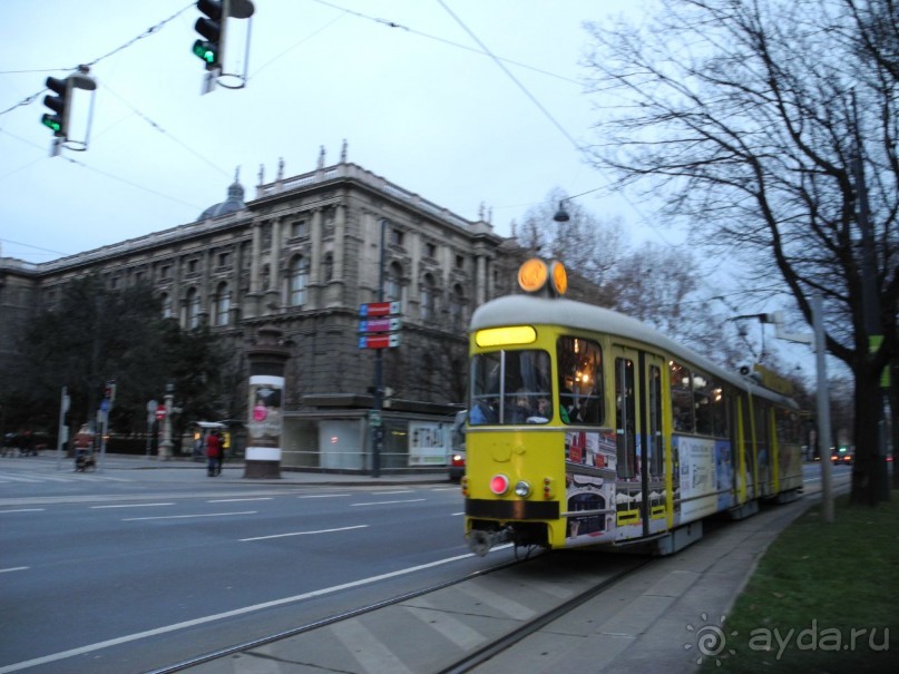 Перед поездкой в Вену...