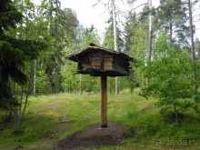 Круиз по Балтике на пароме "Принцесса Анастасия"