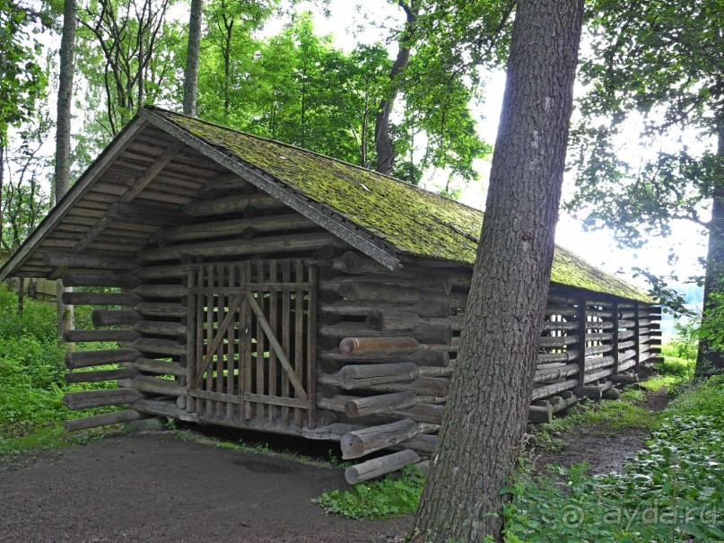 Круиз по Балтике на пароме "Принцесса Анастасия"
