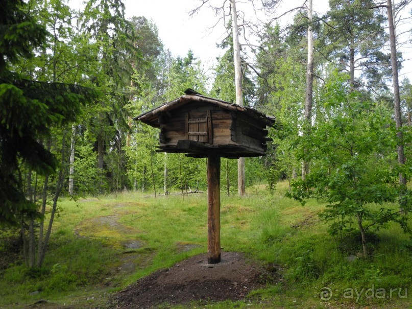 Круиз по Балтике на пароме "Принцесса Анастасия"