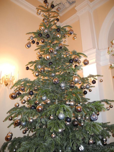 Где послушать музыку в Вене