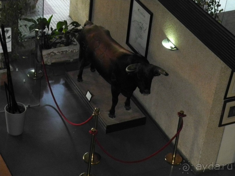 фото Princess Hotel Skiathos