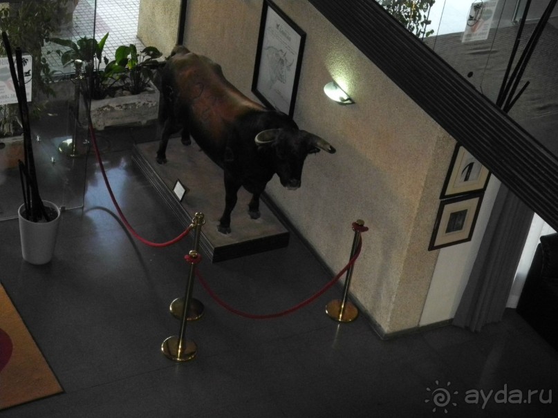 фото Princess Hotel Skiathos