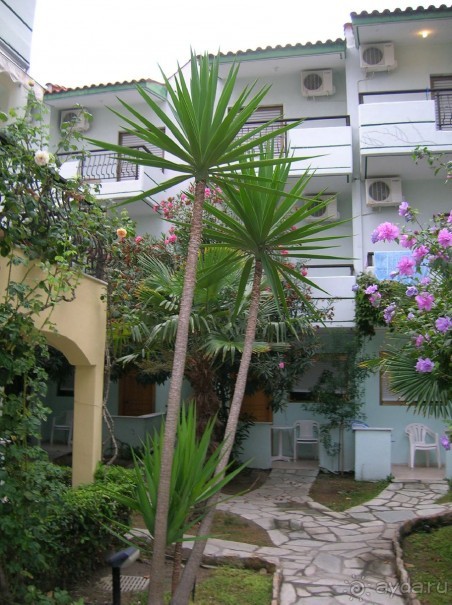 Греческая Pelli (KASSANDRA)