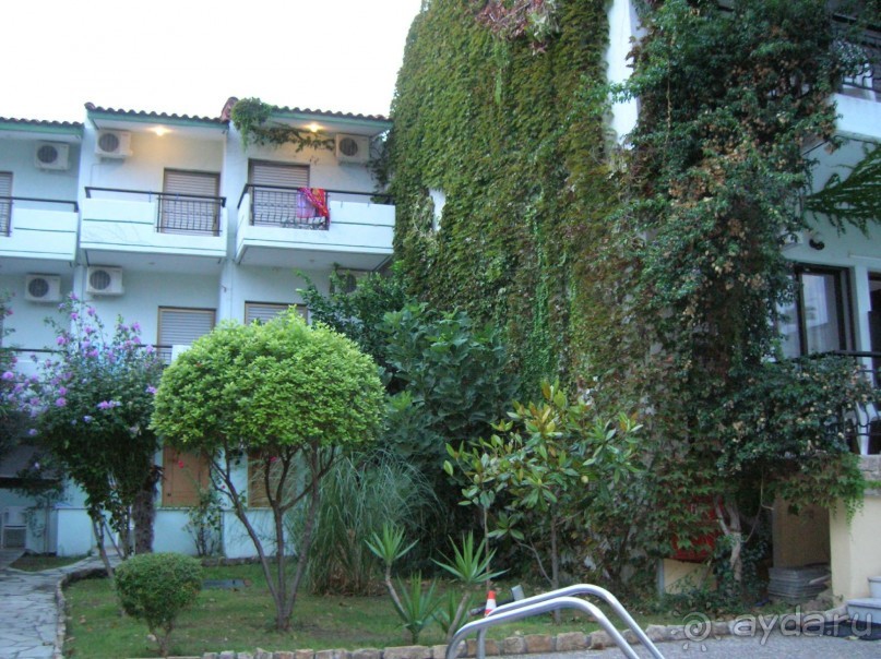 Греческая Pelli (KASSANDRA)