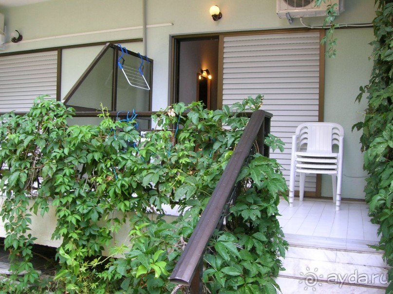 Греческая Pelli (KASSANDRA)