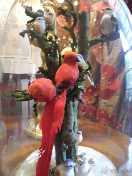 Жемчужина в центре города. Estherea 4*