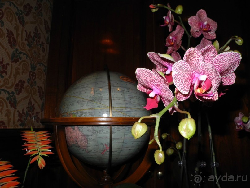 Жемчужина в центре города. Estherea 4*