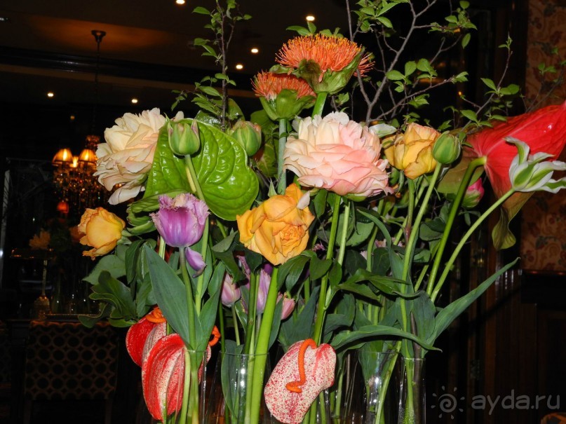 Жемчужина в центре города. Estherea 4*