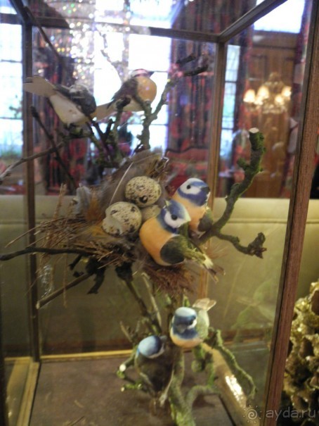 Жемчужина в центре города. Estherea 4*