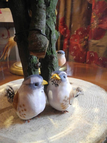 Жемчужина в центре города. Estherea 4*