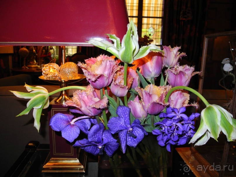 Жемчужина в центре города. Estherea 4*