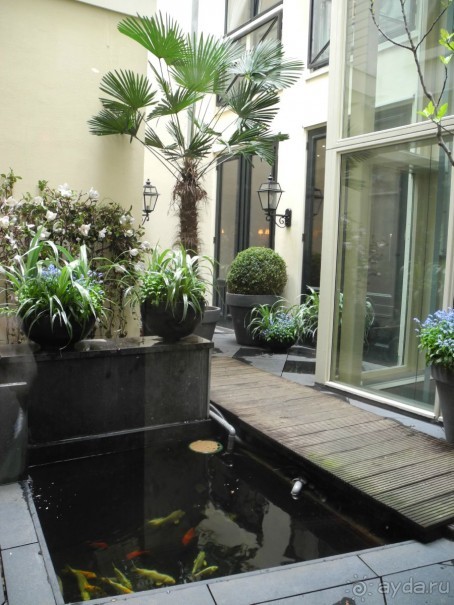 Жемчужина в центре города. Estherea 4*