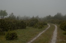 Сааремаа – остров сердца...