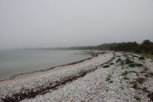 Сааремаа – остров сердца...