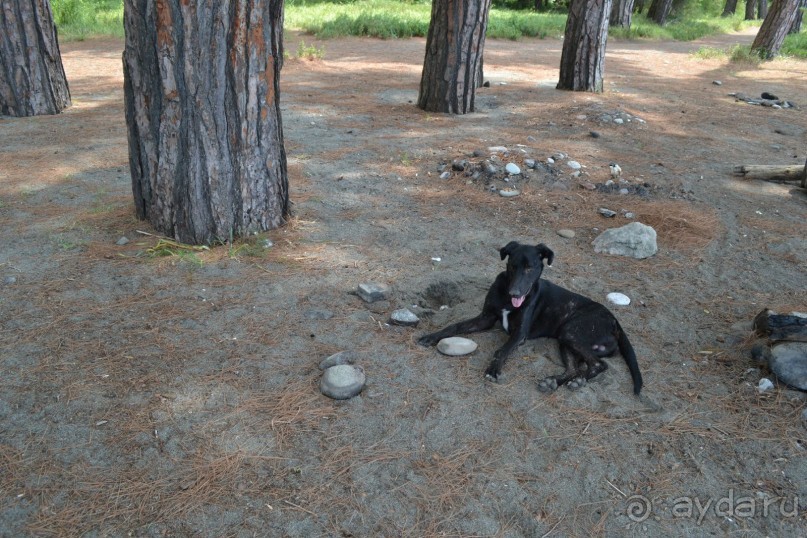 Учитесь на чужих ошибках...