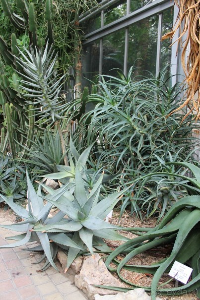 Рождественская Прага (2013/14)