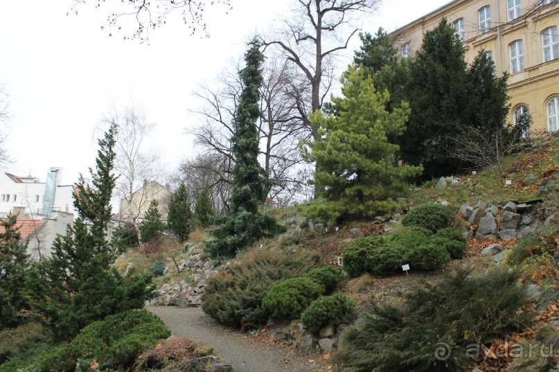 Рождественская Прага (2013/14)