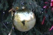 Рождественская Прага (2013/14)