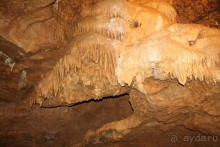 Конепрусские пещеры (Чехия)