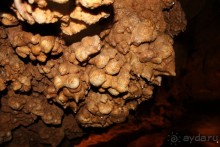 Конепрусские пещеры (Чехия)