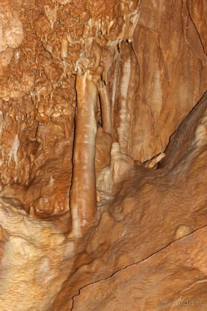 Конепрусские пещеры (Чехия)