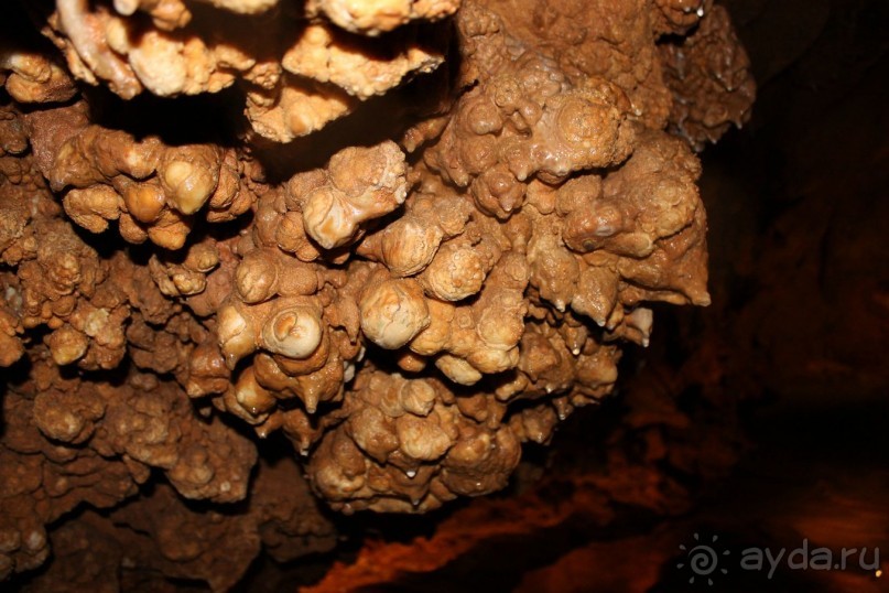 Конепрусские пещеры (Чехия)