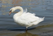 Летняя Прага и ее окрестности.