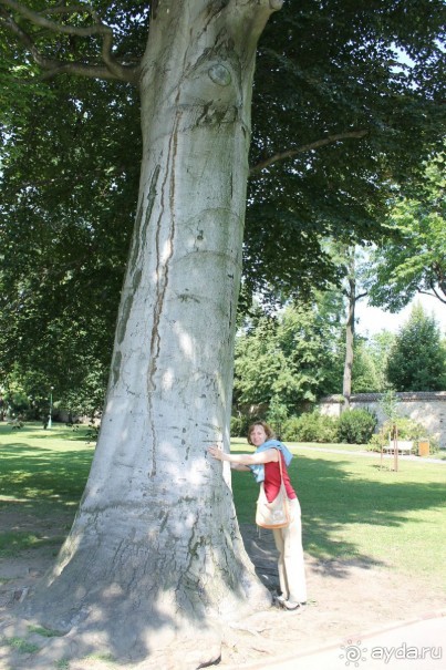 Летняя Прага и ее окрестности.