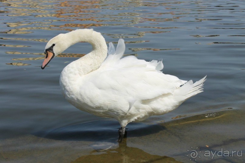 Летняя Прага и ее окрестности.