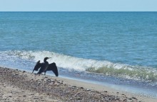 Третье балтийское путешествие