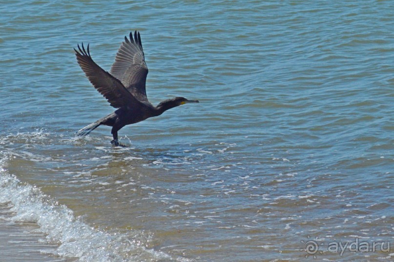 Третье балтийское путешествие