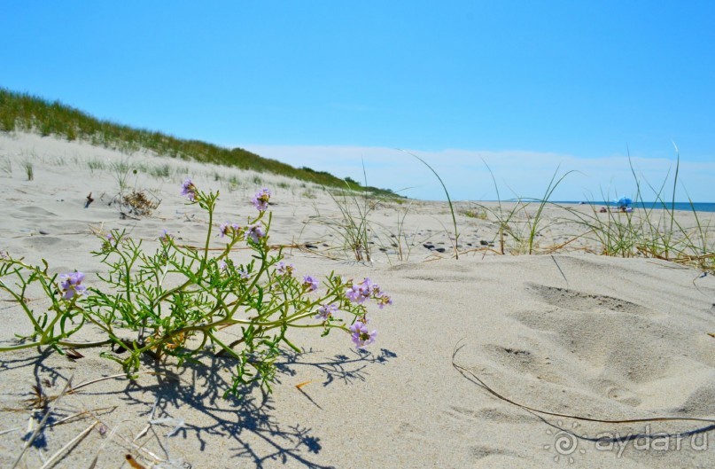 Третье балтийское путешествие