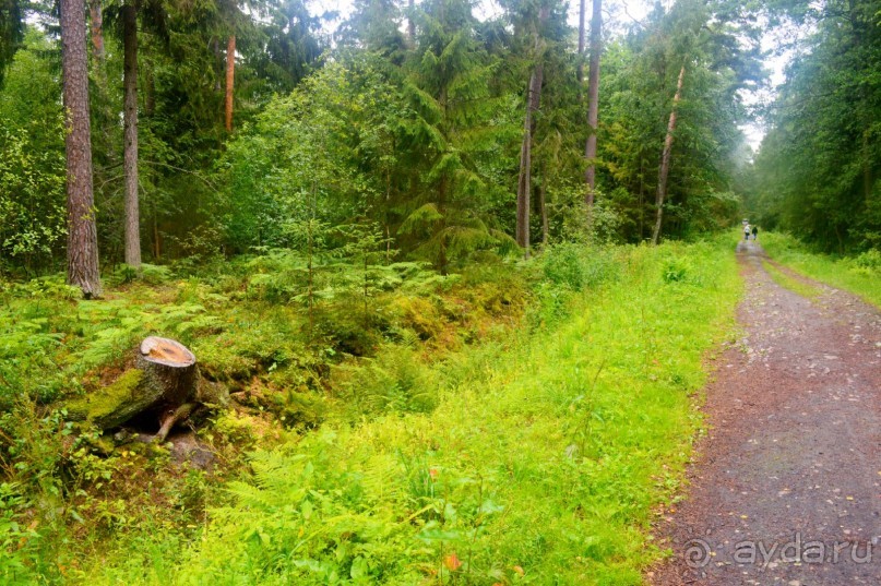 Третье балтийское путешествие