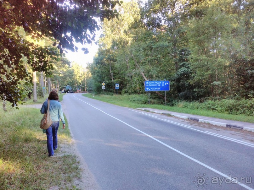 фото Зеленоградска