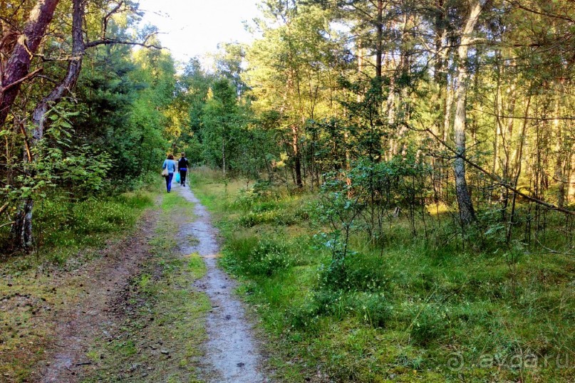 фото Зеленоградска