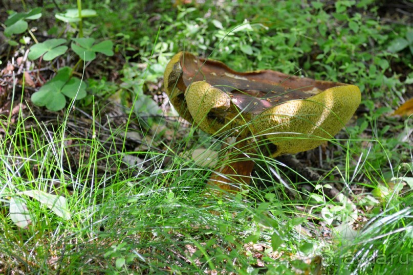 Третье балтийское путешествие