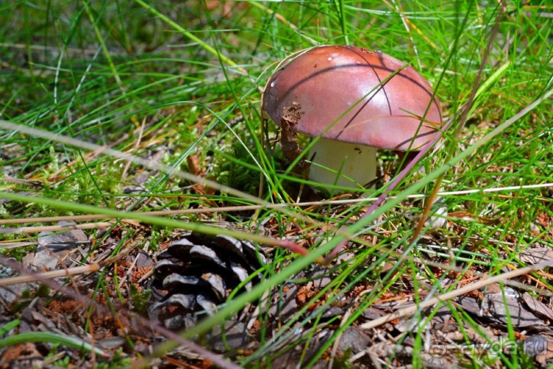 Третье балтийское путешествие