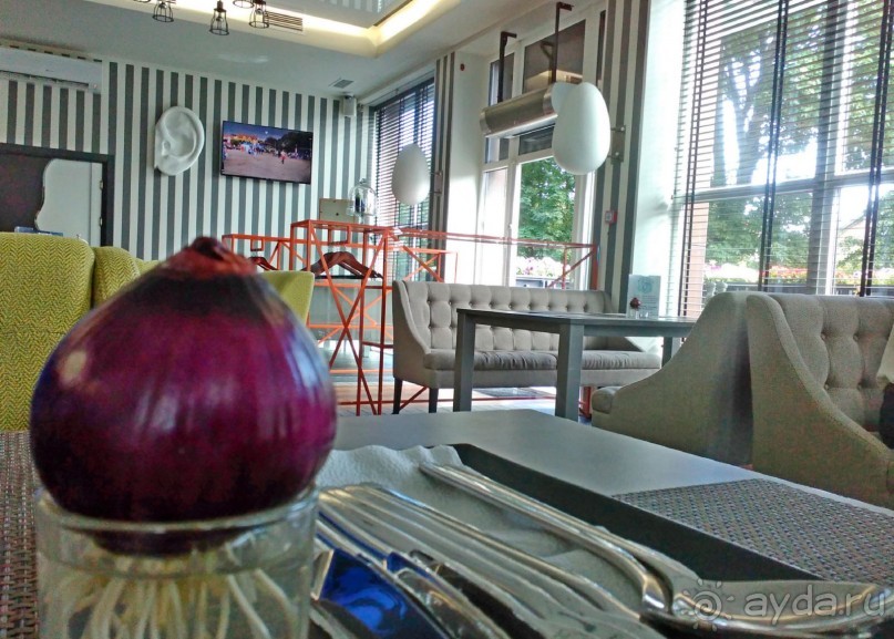 фото Зеленоградска