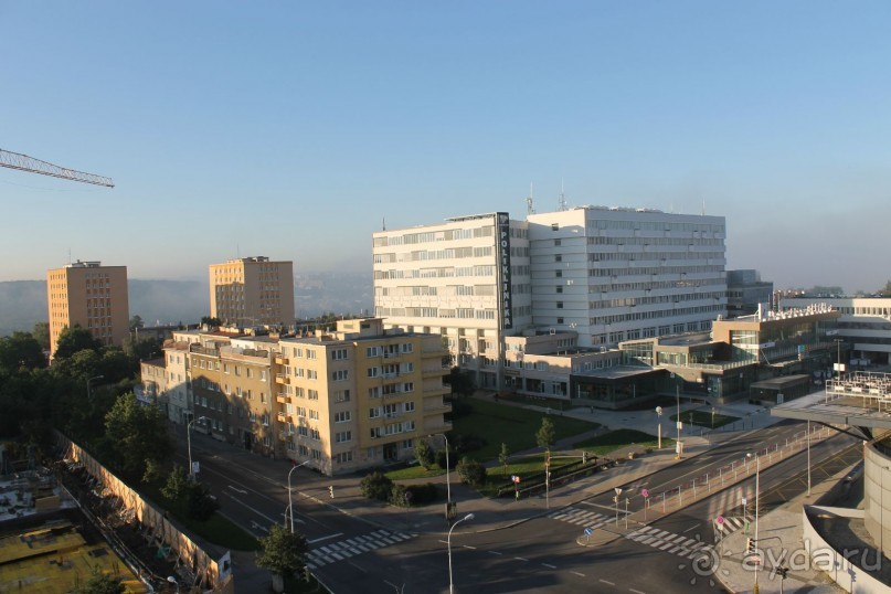 Свои звезды оправдал.