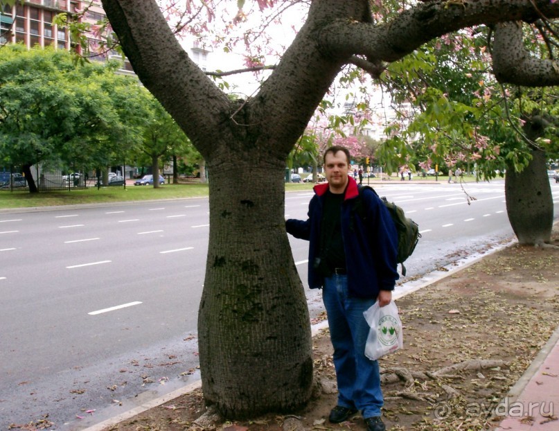 Берега Южного океана