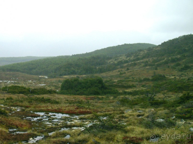 Берега Южного океана