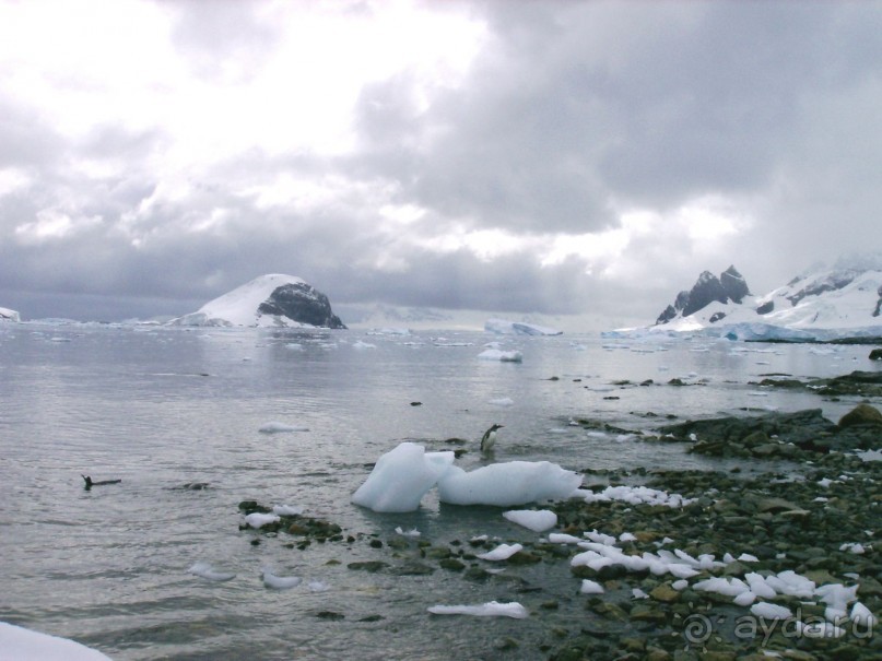 Берега Южного океана